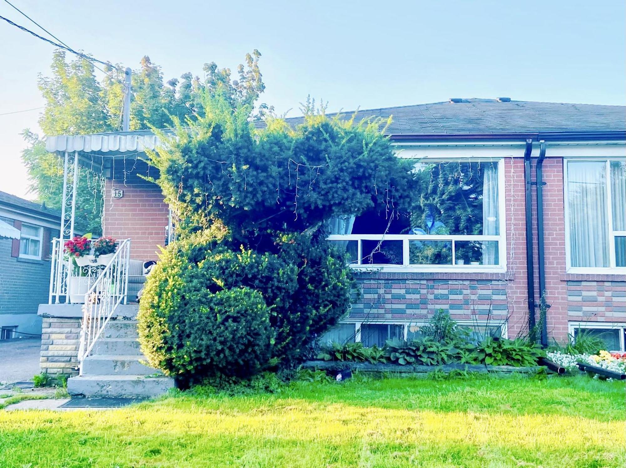 Toronto Bed & Breakfast - Free Parking Exterior foto